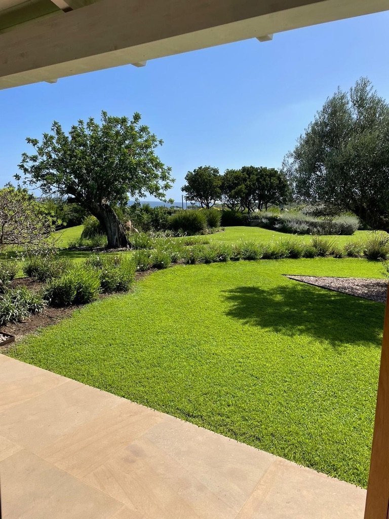 Villa Jamila - Immagine 12