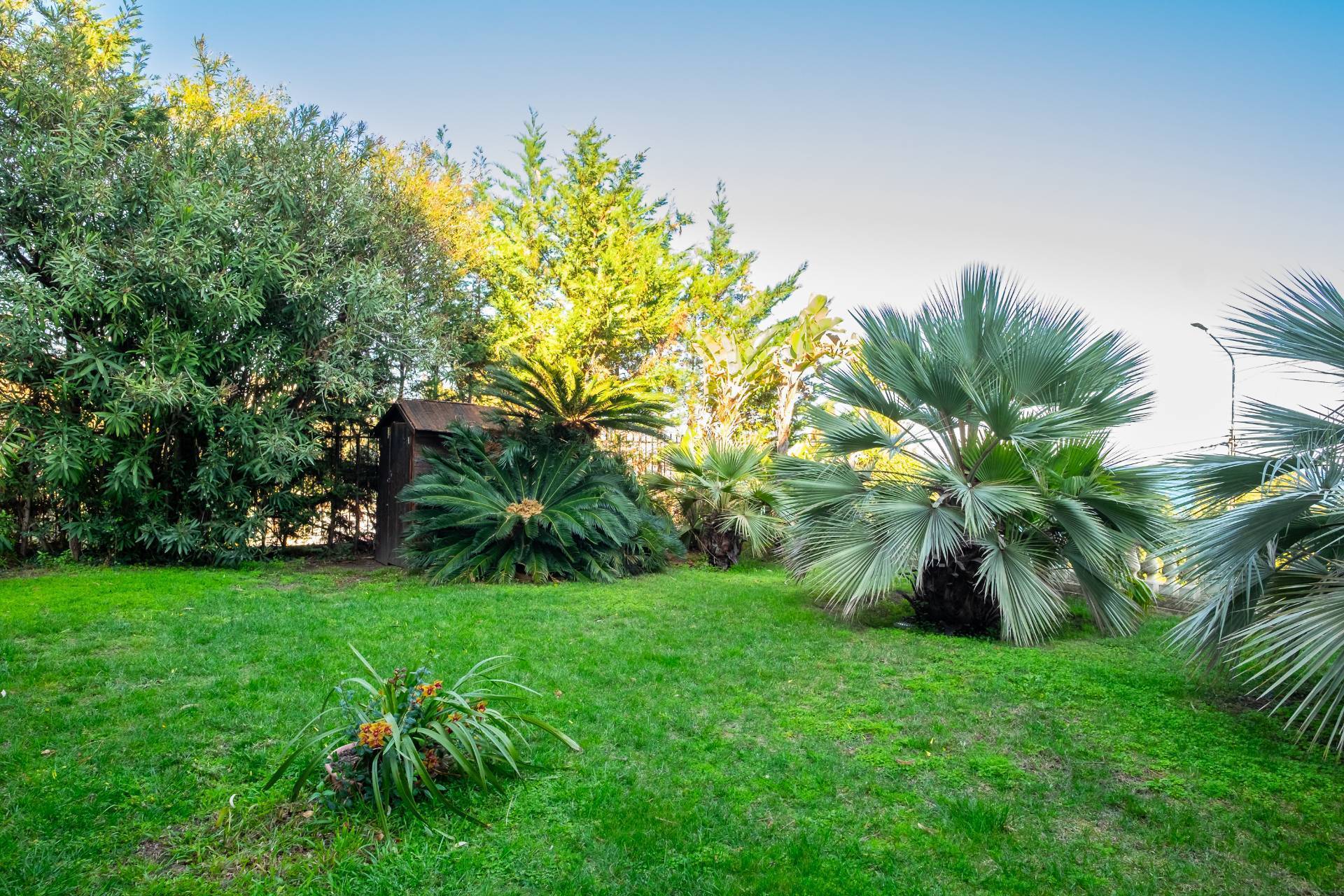 Twins Villa — Storica Capo Pino, Sanremo - Immagine 15